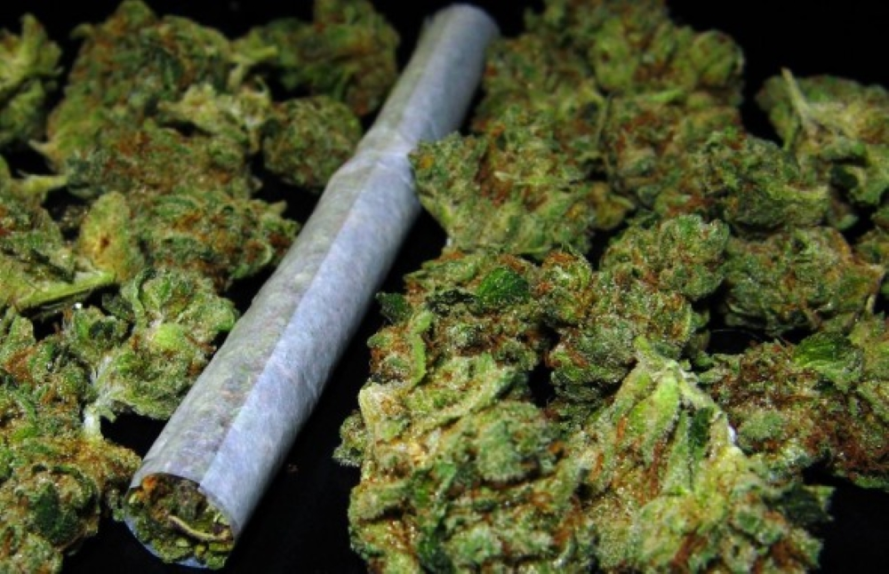 ¿Utilización regulada e integral del cannabis?