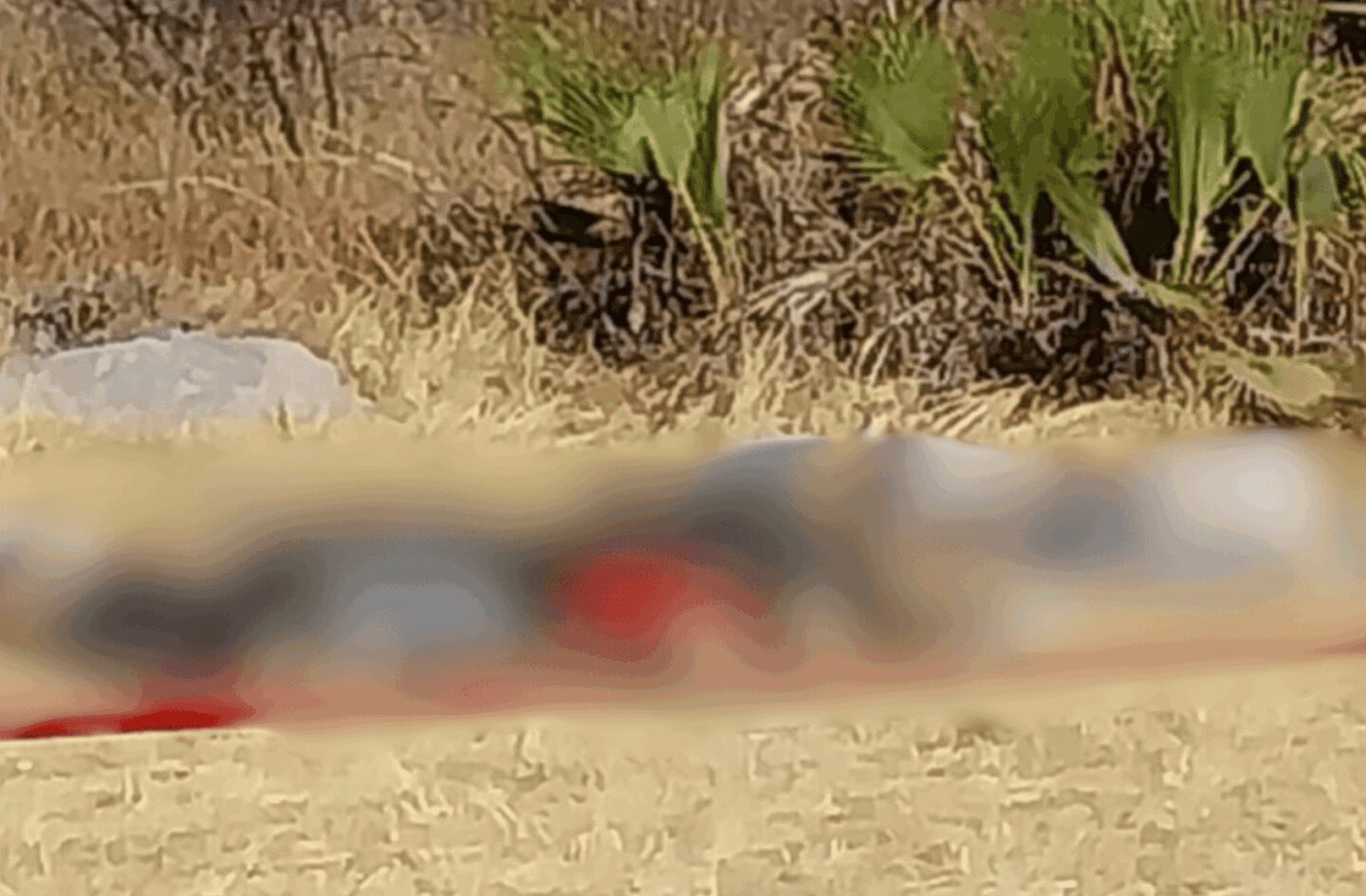 Hallan seis cuerpos con signos de violencia en Huehuetlán el Grande, Puebla