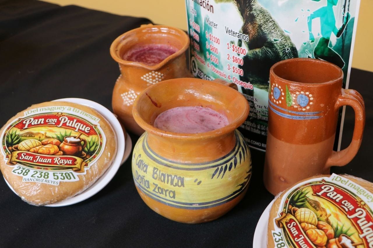 Pulque, gastronomía y cultura en Eco Festival Regional de Zapotitlán Salinas