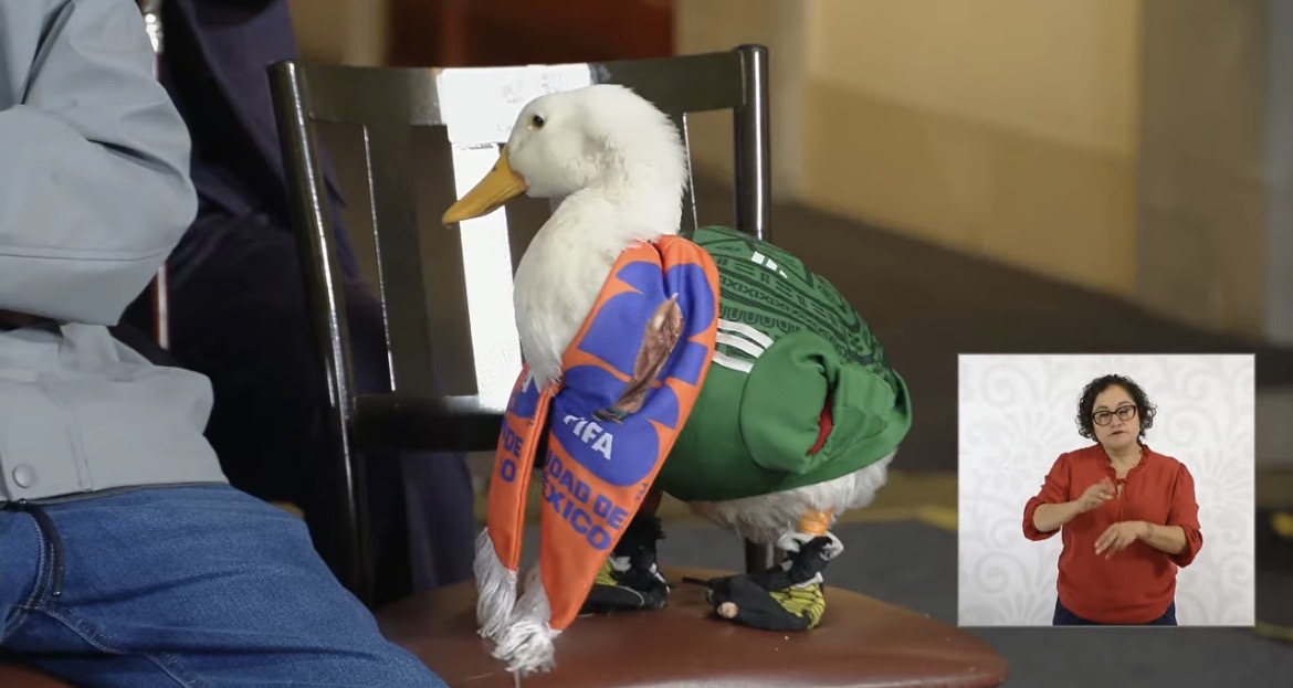 De las redes a Palacio Nacional: Merlín, el pato del Tri, llega a la Mañanera de Sheinbaum