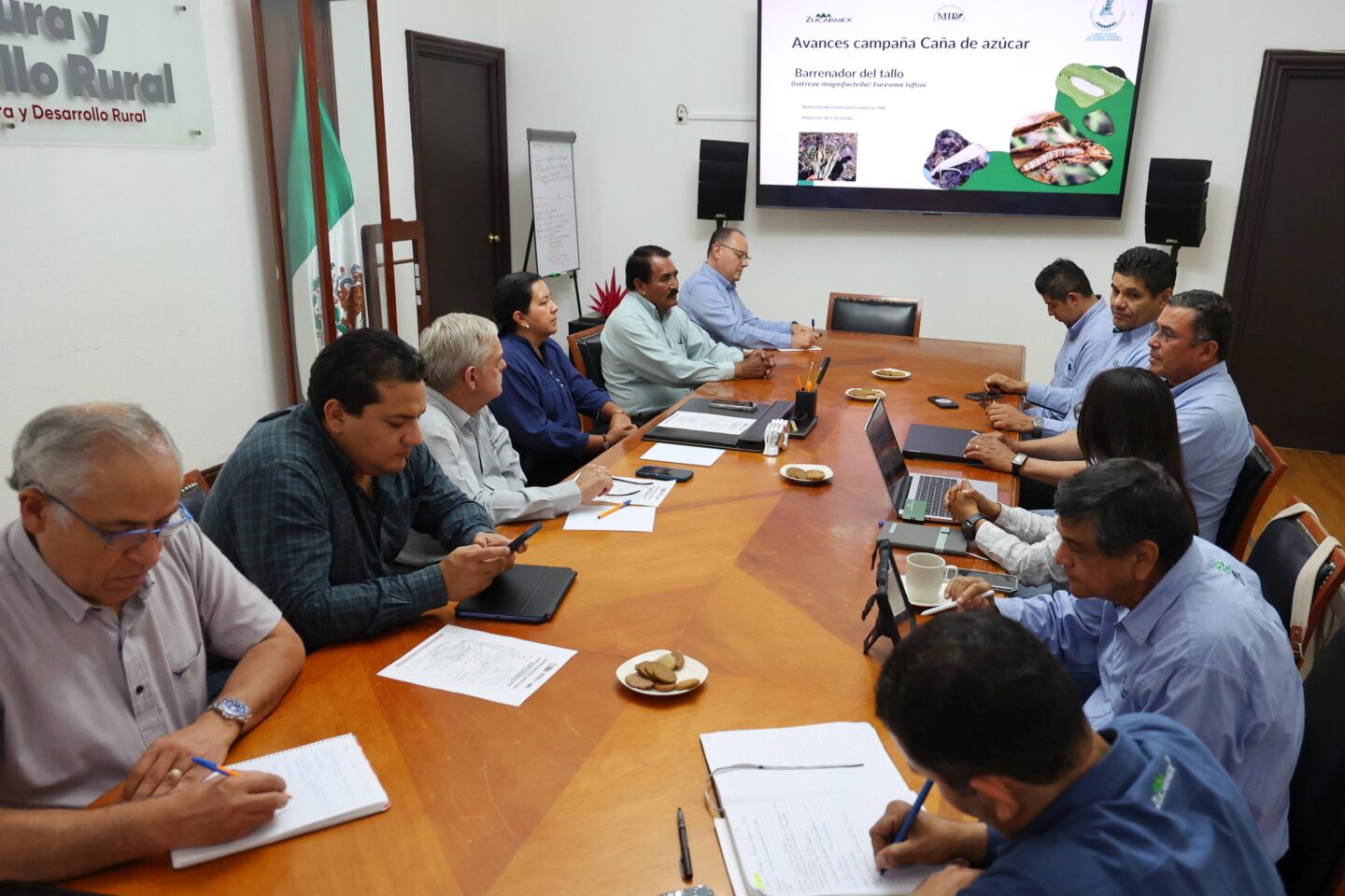 Gobierno estatal consolida acciones sanitarias para incrementar productividad de la caña de azúcar