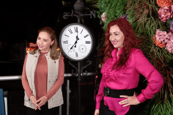 Los problemas del PAN no me afectan, yo voy a seguir caminando: Paola Angón