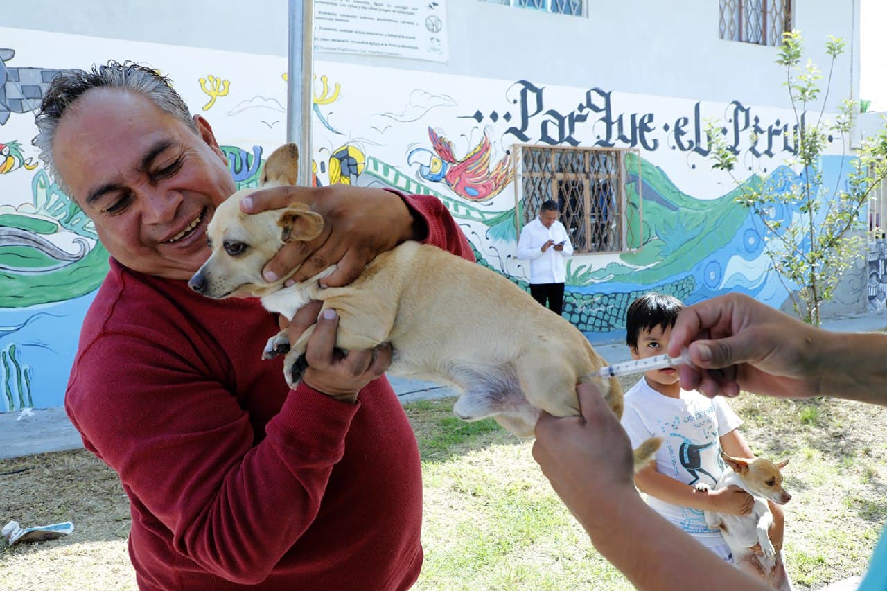 Mantiene Ayuntamiento de Puebla servicios del departamento de Protección Animal