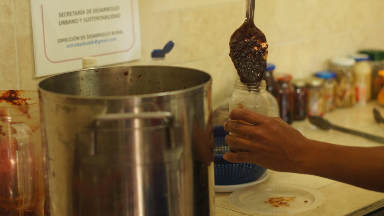 Con talleres virtuales Ayuntamiento de Puebla fomenta autosuficiencia alimentaria