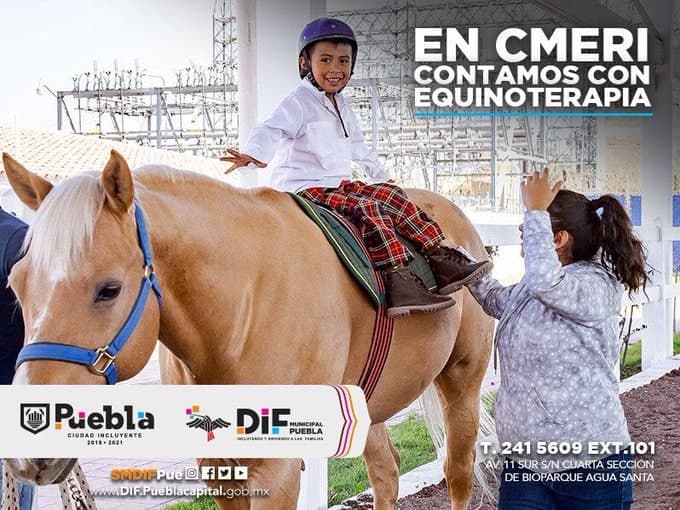 Centro Municipal de Equinoterapia y Rehabilitación invita a conocer sus servicios