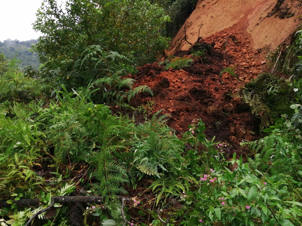 Confirman tres descesos en Puebla tras el paso del Huracán Grace