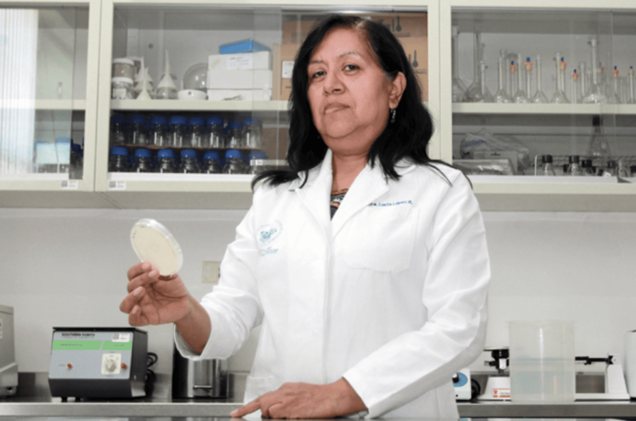 Investigadores BUAP desarrollan método biológico para controlar hongos patógenos en pinos