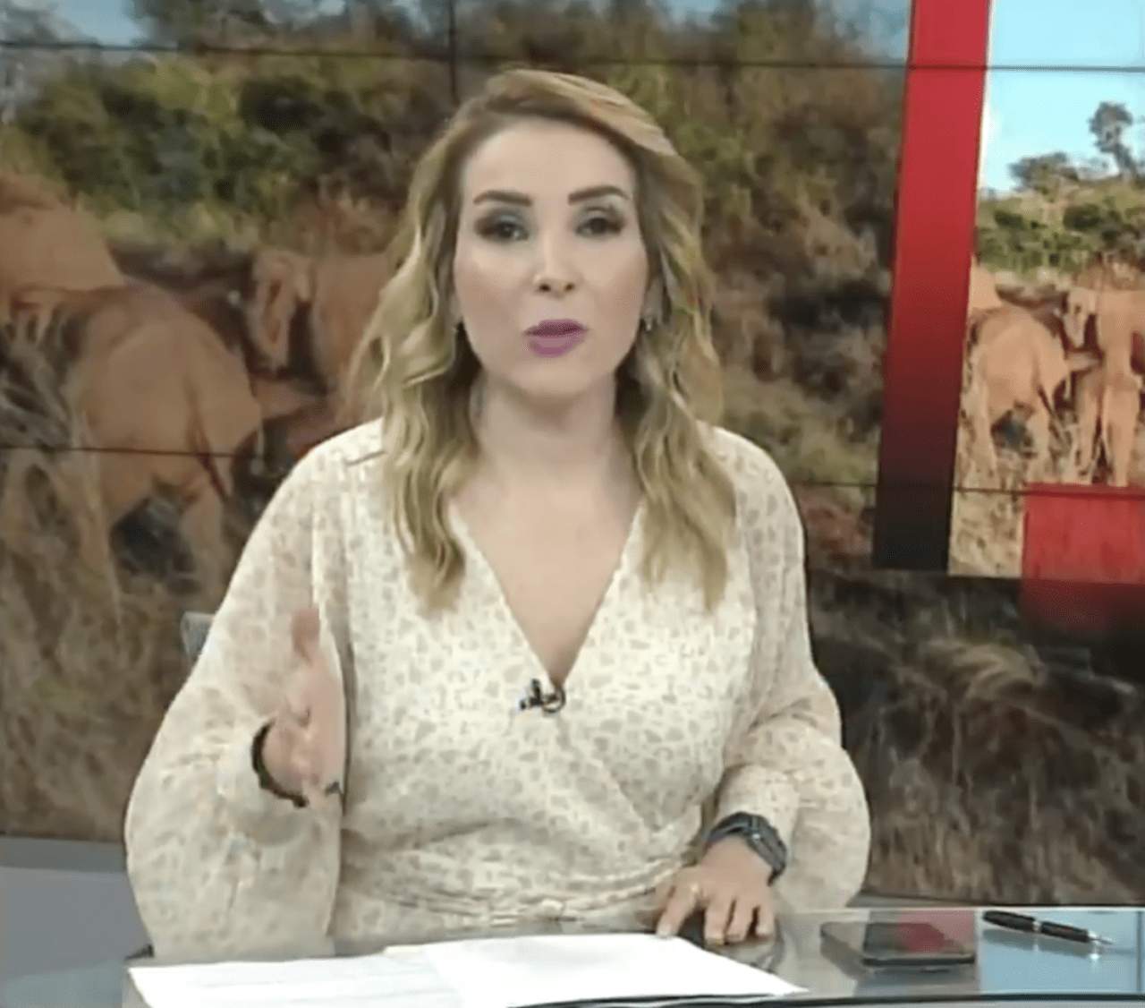 instruye Gobierno de México protección para Azucena Uresti, periodista amenazada por el crimen organizado