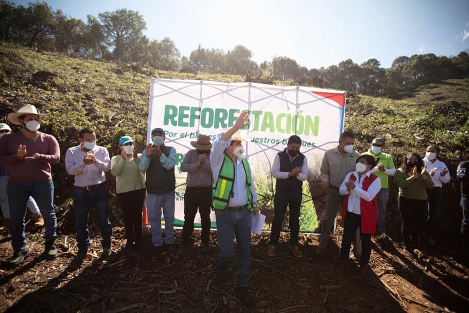 Encabeza edil electo de Chignahuapan jornada de reforestación, mediante la plantación de 10 mil árboles