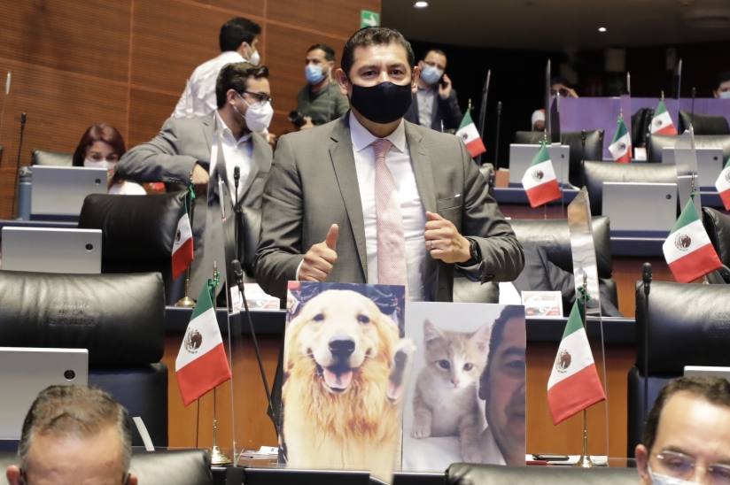 Desde el Senado, Alejandro Armenta se pronuncia Contra la crueldad animal