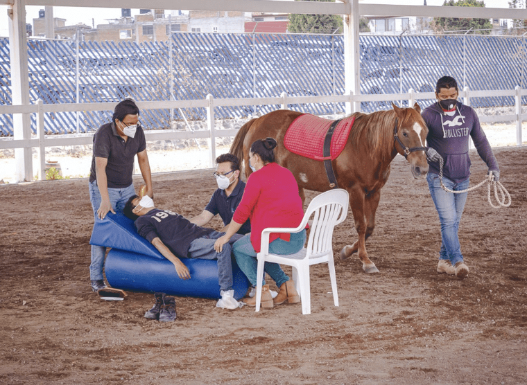 Centro Municipal de Equinoterapia y Rehabilitación Integral invita a conocer sus servicios