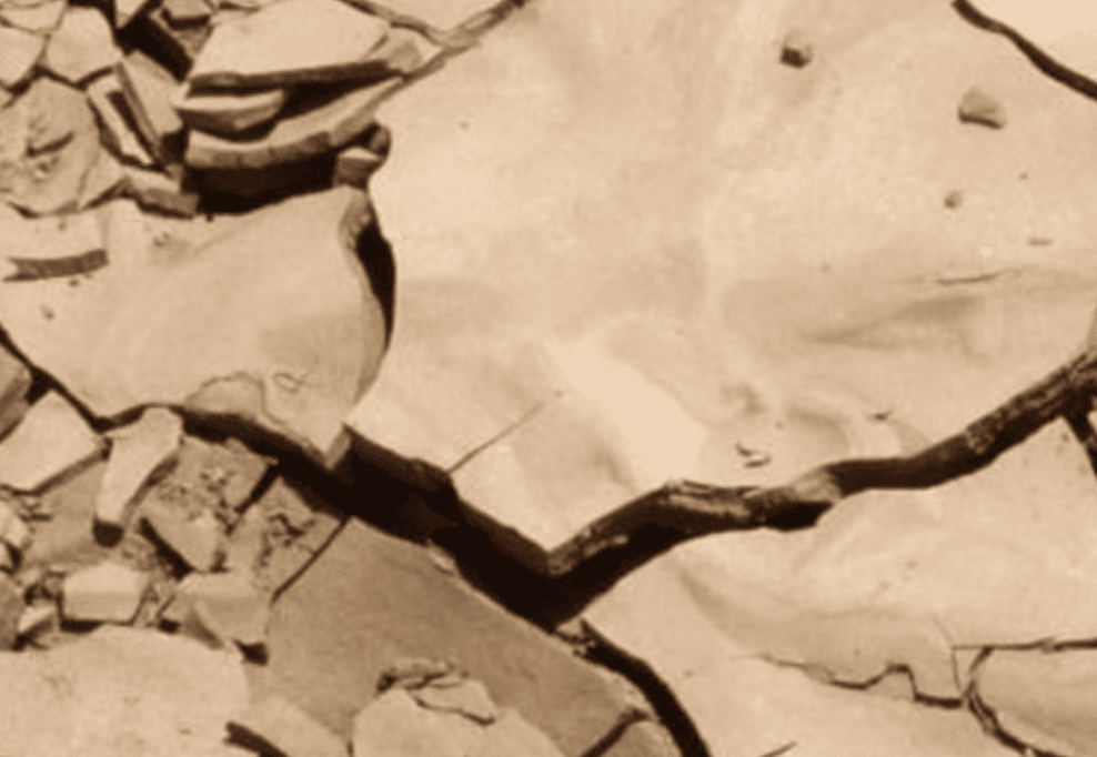 Europa restaurará más de cuatro millones de tierras degradadas