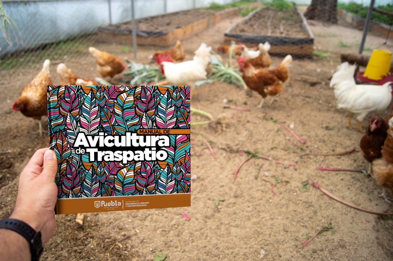 Ayuntamiento de Puebla distribuye Manuales de Avicultura y Compostaje en formato digital