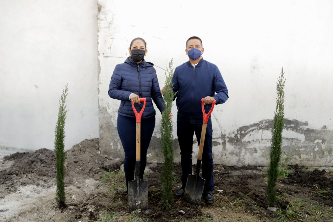 Ayuntamiento de San Andrés Cholula ha plantado más de 600 árboles