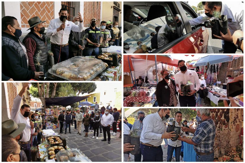Encabeza Alejandro Armenta jornada de reforestación en Plazuela de Los Sapos y Barrio de Analco