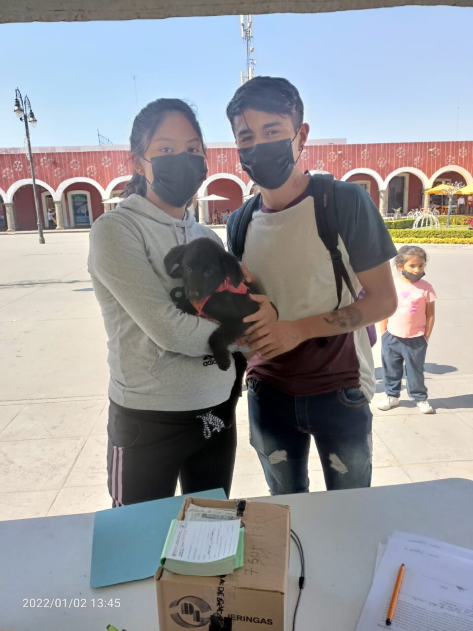 Promueve Ayuntamiento De San Pedro Cholula adopción y tenencia responsable de animales