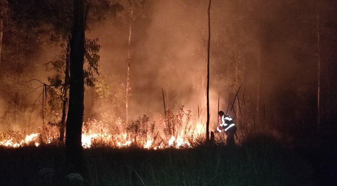 Sofocan bomberos De San Pedro Cholula incendio en el Cerro Zapotecas