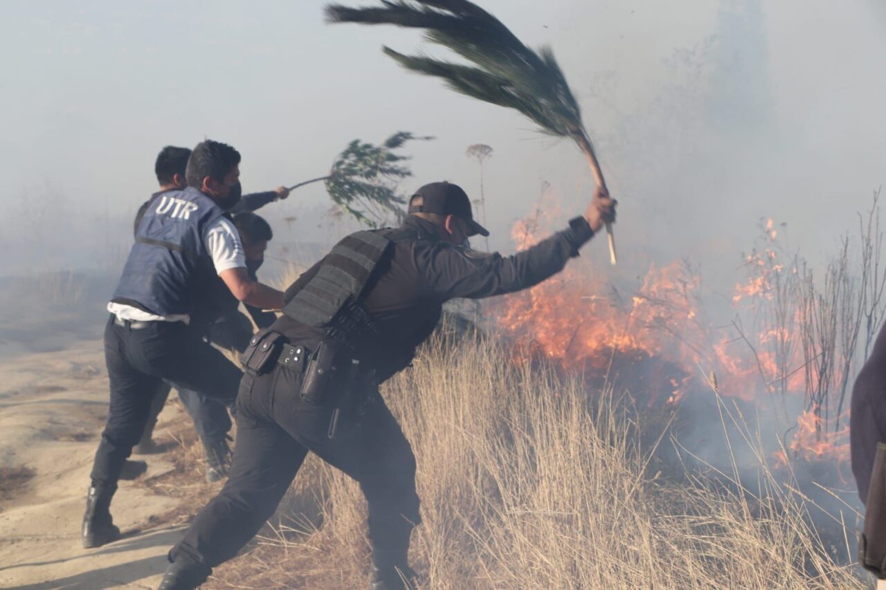 Controlan incendio en el Cerro Zapotecas, en San Pedro Cholula