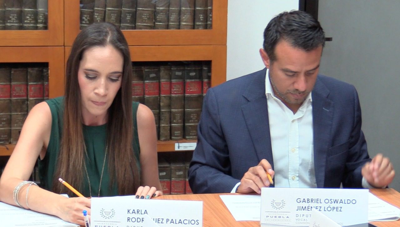 En Comisión del Congreso, avalan reformas y adiciones a la Ley de la Comisión de Derechos Humanos del Estado de Puebla￼