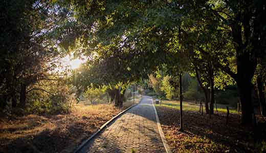 Jardín Botánico de la BUAP, 35 años de conservación, investigación y enseñanza ambiental ￼