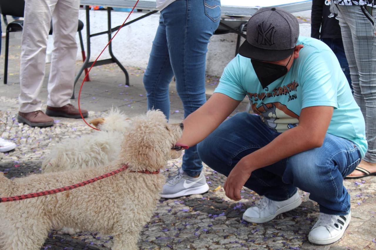 Más lomitos encuentran hogar en jornadas de adopción del Ayuntamiento de Puebla