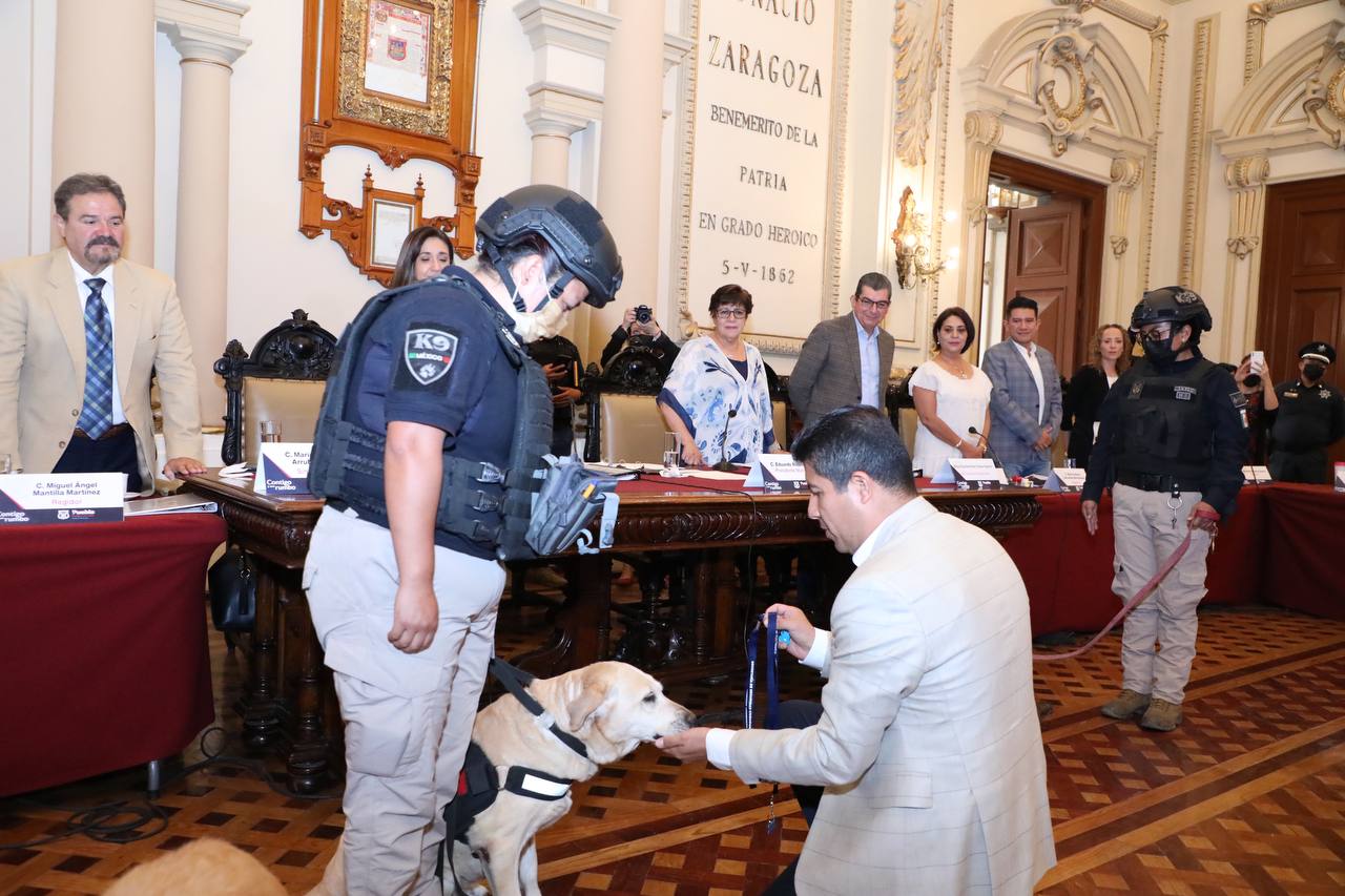 Se jubilan con honores 16 perros policía que sirvieron por más de siete años