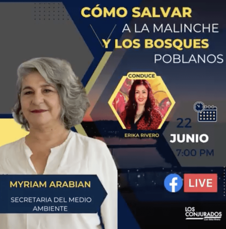 ¿Cómo salvar a los bosques poblanos? Myriam Arabian lo explicará