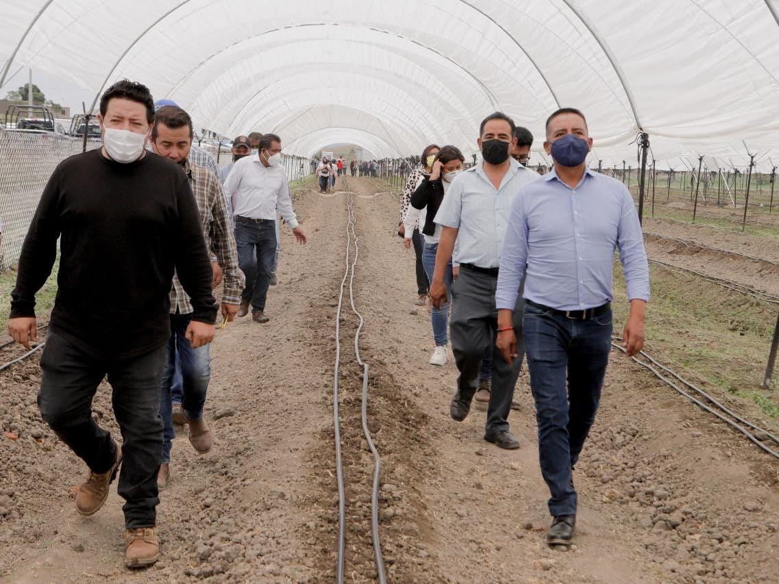 Pone en marcha Mundo Tlatehui túnel para la producción de Zarzamora en San Andrés Cholula