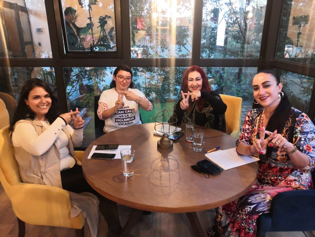 Los frutos de la Ley Vicaria se verán en 10 años: Luz Arredondo