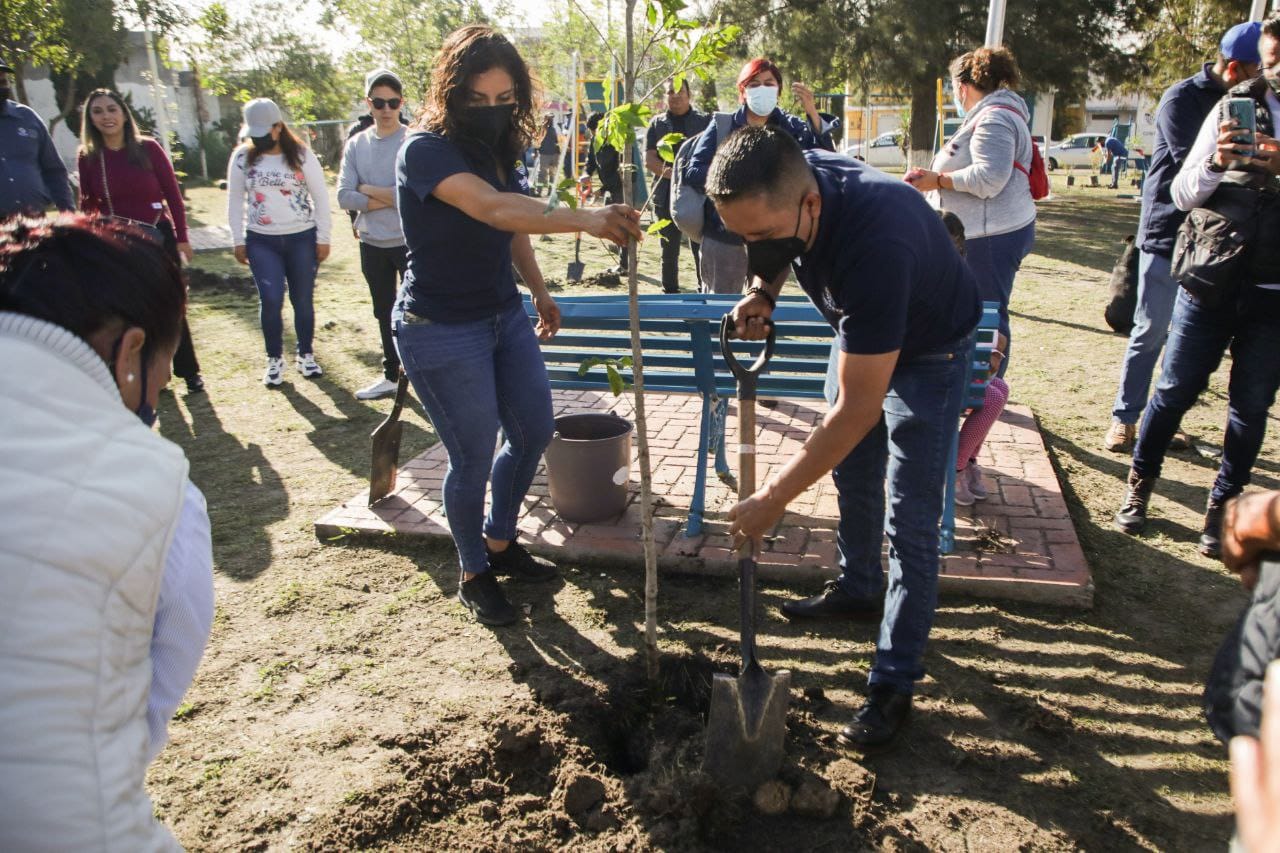 Realiza Ayuntamiento de San Andrés Cholula jornada de reforestación en Concepción Guadalupe