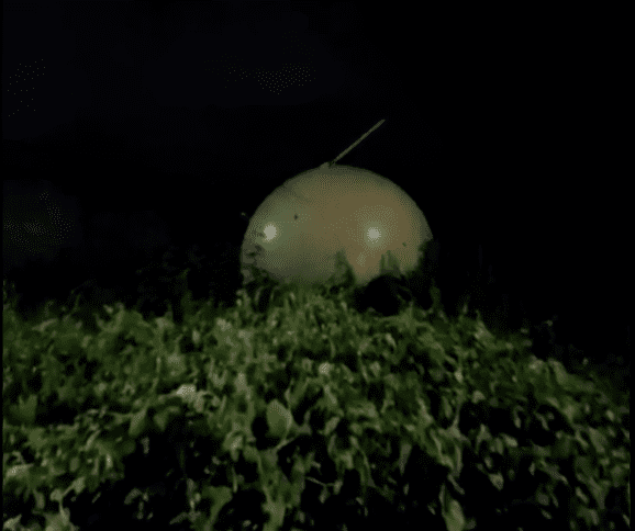 ¿Un OVNI cayó en Veracruz?