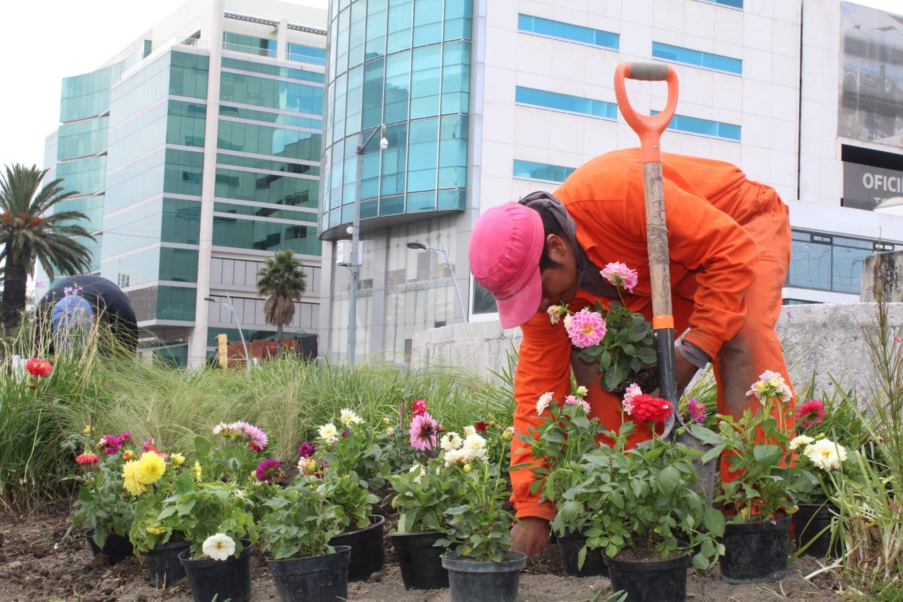 Remodela Ayuntamiento de Puebla la Avenida Juárez