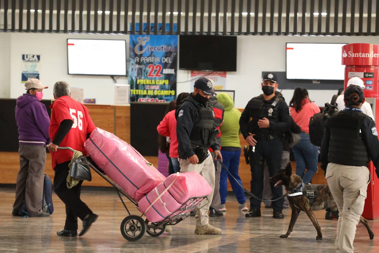 Visitantes seguros, gracias al operativo «Visitante Seguro»