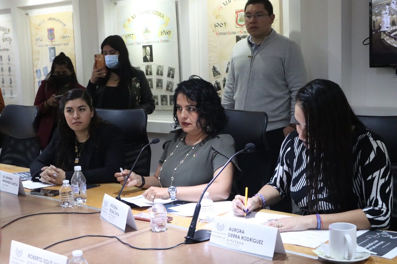 Comisiones Unidas del Congreso aprueban exhorto a favor de personas con discapacidad