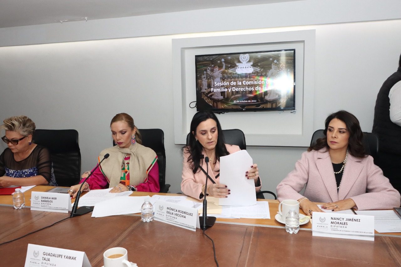 Comisión de la Familia y los Derechos de la Niñez presenta Informe de Actividades￼