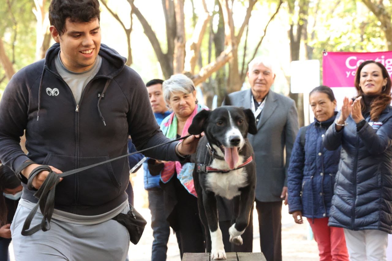 Esterilizarán a más de 3 mil mascotas en la capital poblana