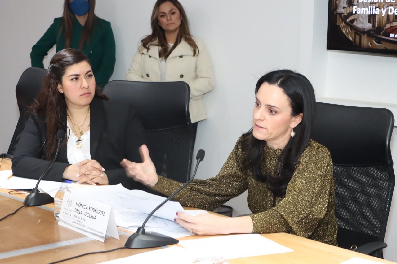 Analizan en Comisión de la LXI Legislatura propuesta de iniciativa en materia de adopción de menores 