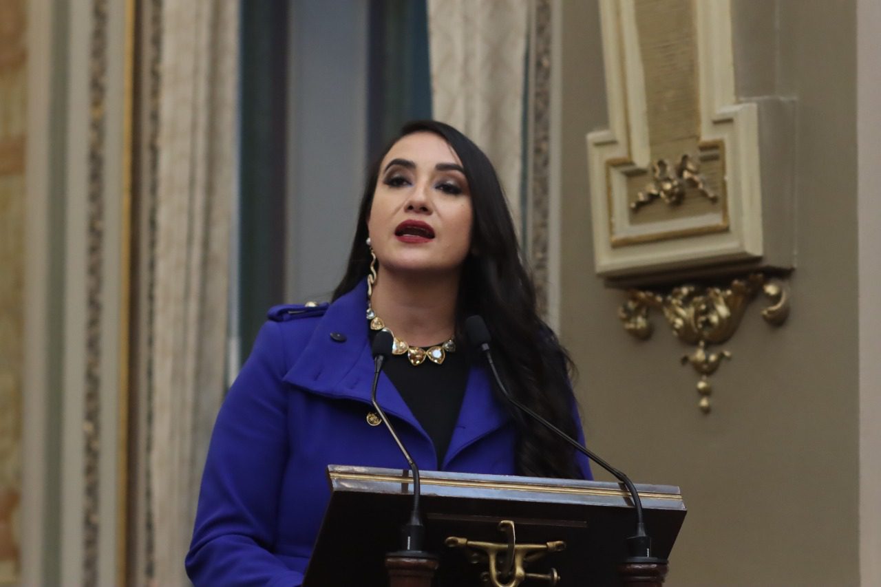 Presentan en el Pleno exhorto para evitar comercialización de heno y musgo en temporada decembrina 