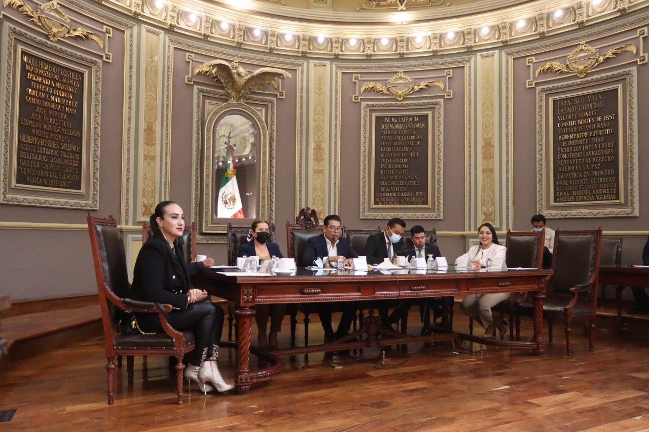 <strong>Presentan en el Congreso del Estado iniciativa para prohibir la venta de perros y gatos de criaderos</strong>