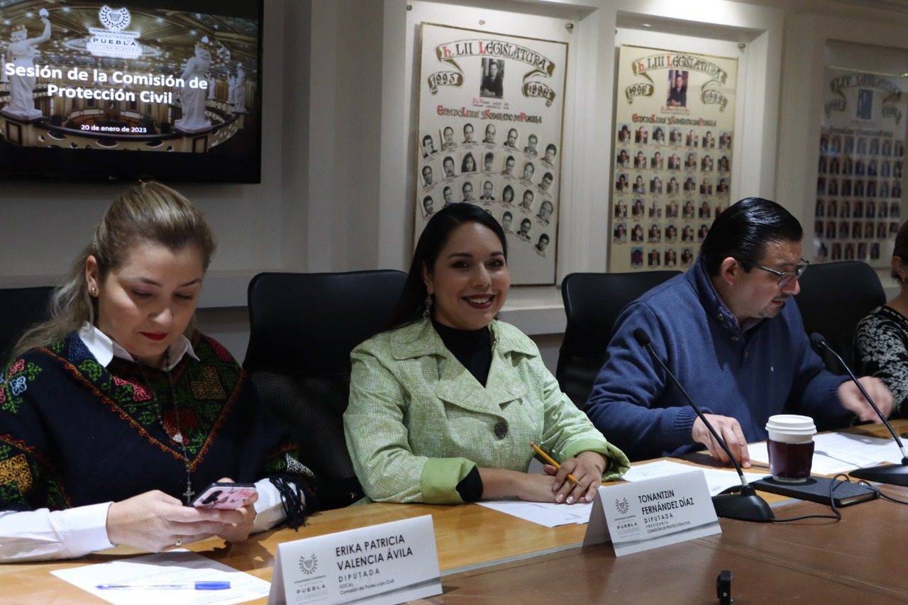 Avala Comisión de la LXI Legislatura nueva integración del Comité Interno de Protección Civil