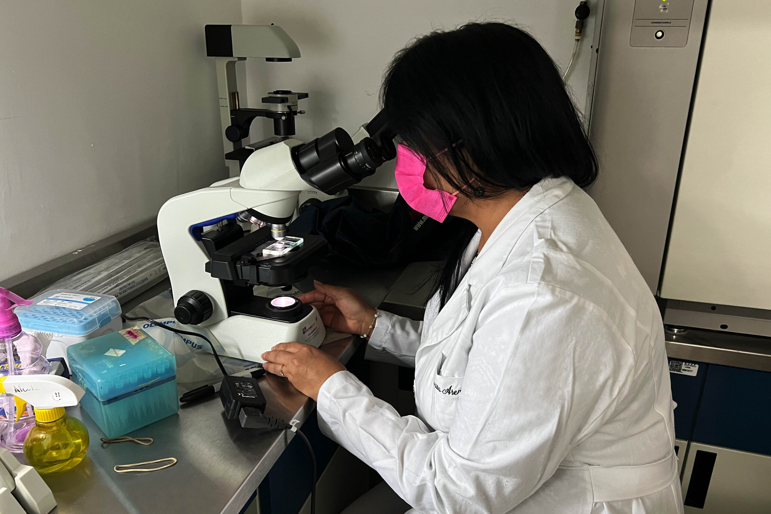 Investigadores BUAP analizan genoma de E. coli uropatógena para conocer sus marcadores de infección