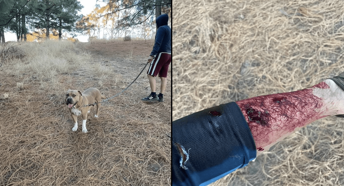Denuncian en redes supuestos ataques de perros pitbull en el cerro Zapotecas