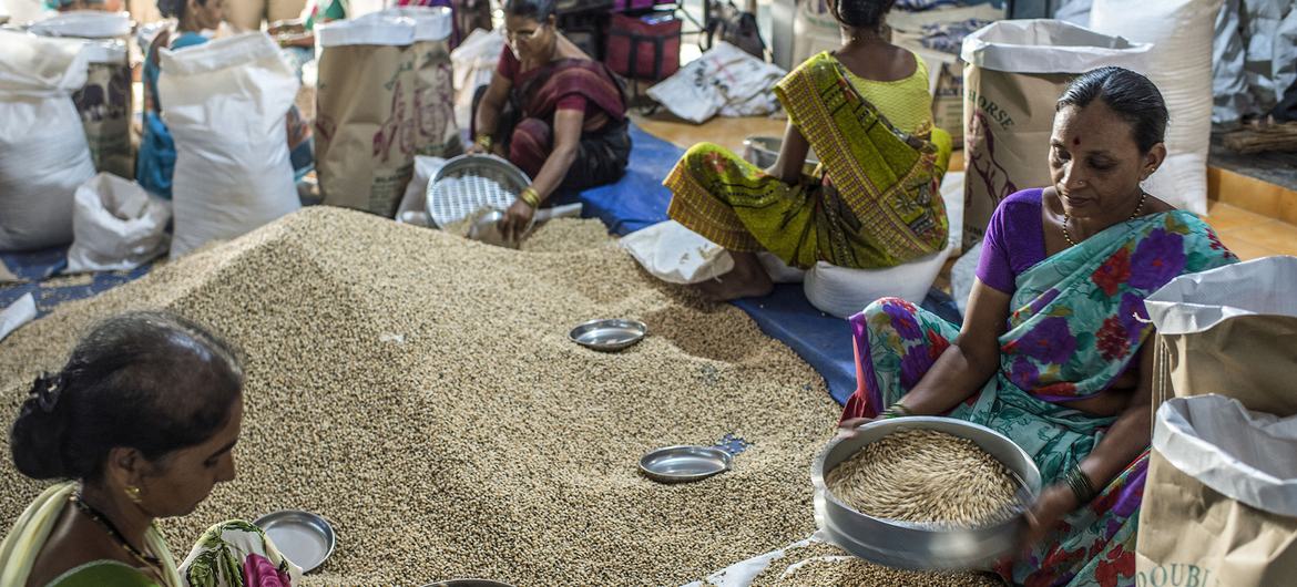 El precio de los alimentos baja casi un 18 % con respecto a su máximo de marzo de 2022