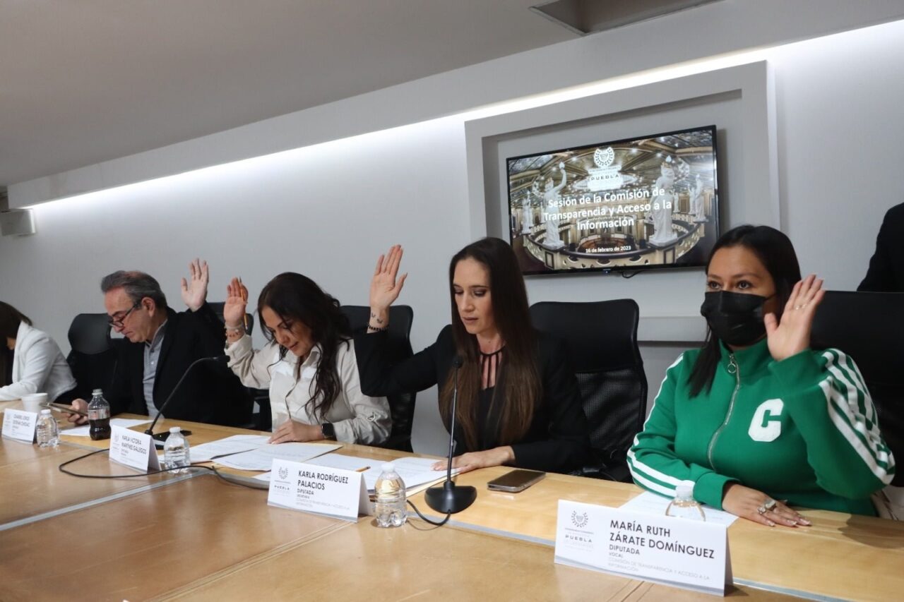 <strong>Aprueba Comisión de la LXI Legislatura reformas en transparencia para el respeto de derechos humanos</strong>