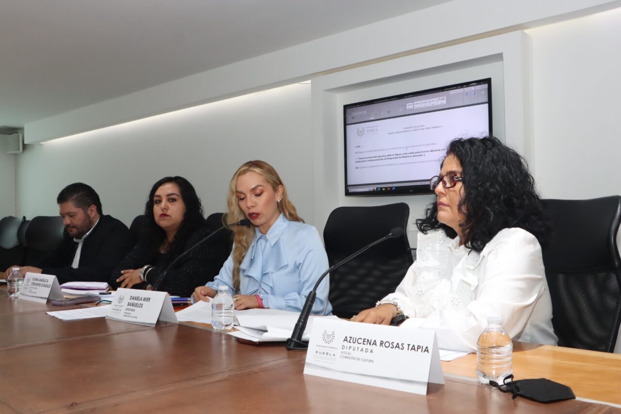 En Comisión, aprueban que se declare el 11 de mayo “Día Estatal de la Lucha Contra la Violencia Vicaria”