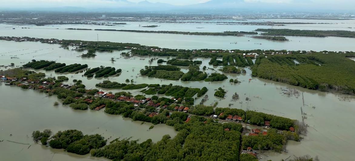 El Niño favorecería la formación de ciclones tropicales en México