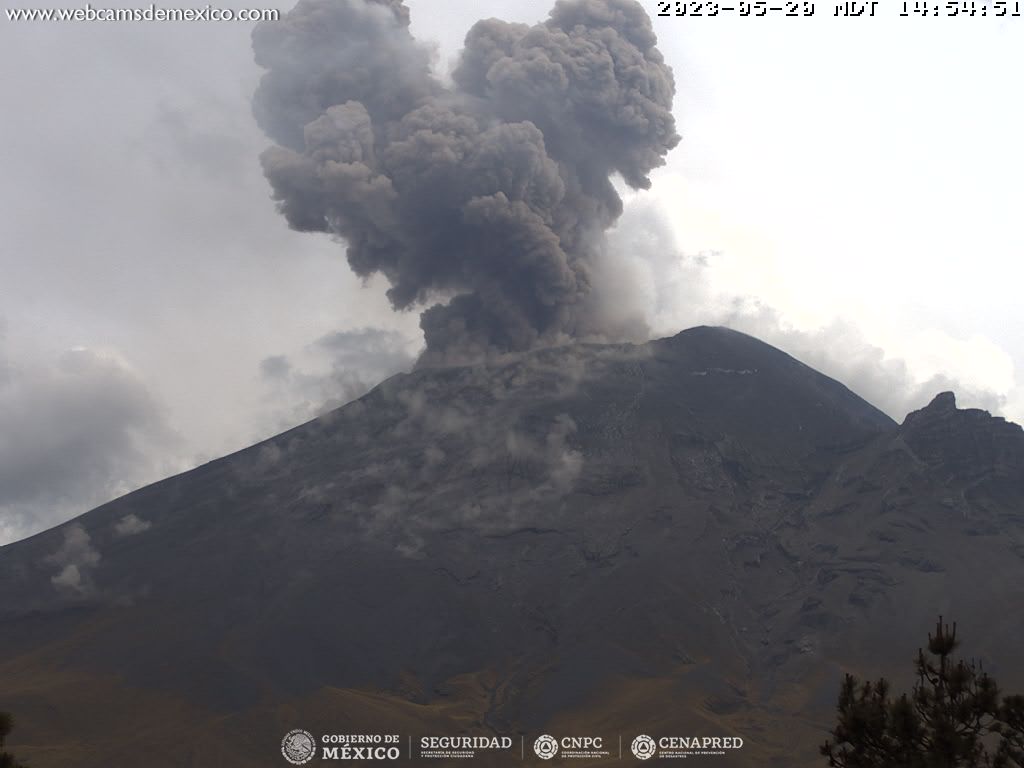 Sin clases presenciales en 40 municipios de Puebla por ceniza del Popocatépetl