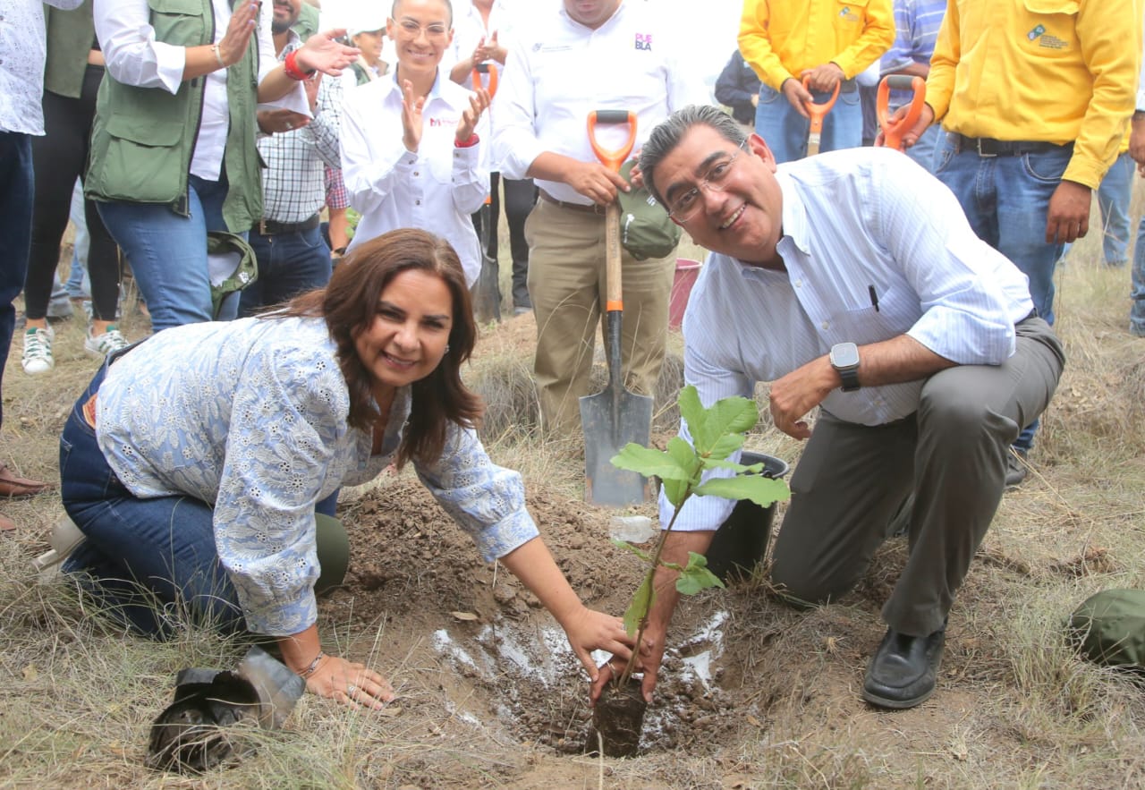 Inicia Sergio Salomón programa de reforestación en Parque Estatal “Flor Del Bosque”