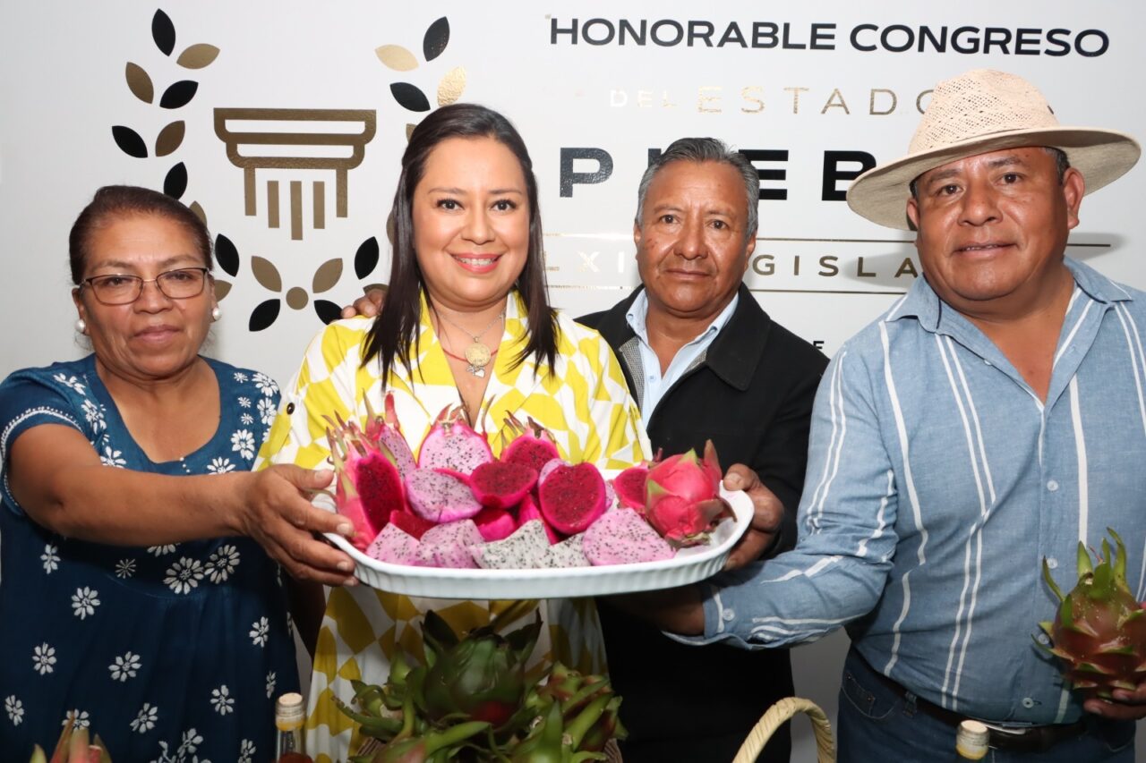 Presentan en el Congreso del Estado la cuarta edición de la Expo Feria Agroartesanal de la Pitahaya de Santa Clara Huitziltepec