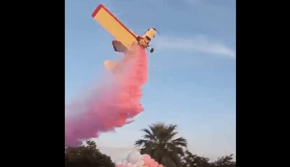 VIDEO | Se estrella avioneta utilizada en fiesta de revelación de género en Sinaloa
